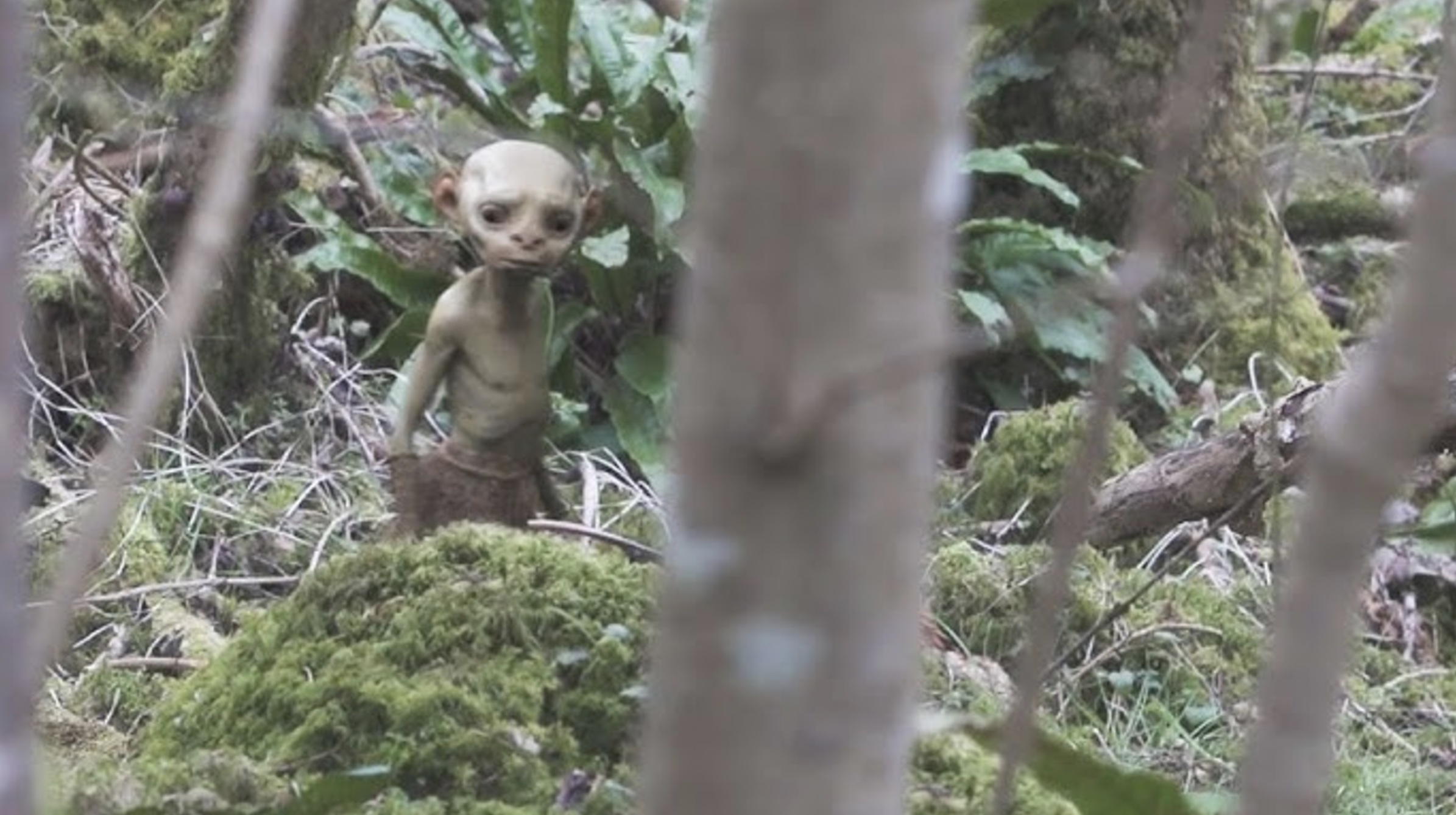 18 'Real-Life' Gnome Sightings Caught on Camera